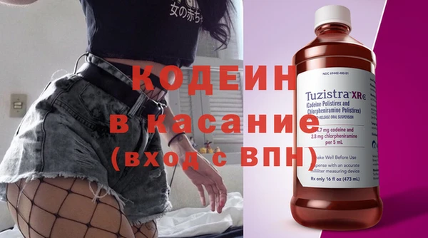 сатива Вяземский