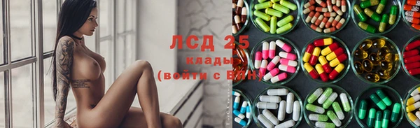 сатива Волосово