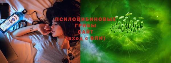 сатива Вяземский