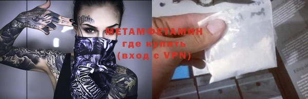 сатива Вяземский