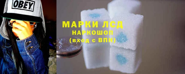 сатива Вяземский