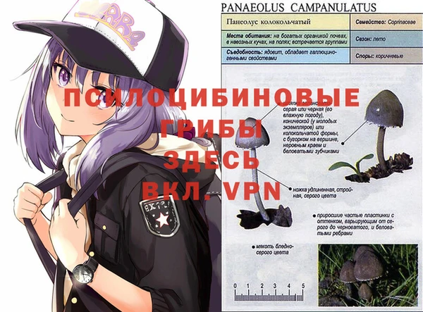 круглые Вязьма