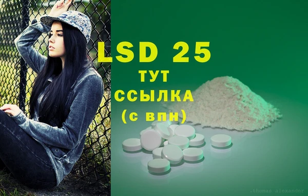 сатива Вяземский