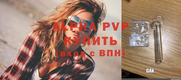 сатива Вяземский