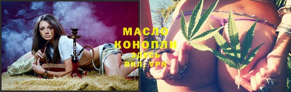 сатива Вяземский
