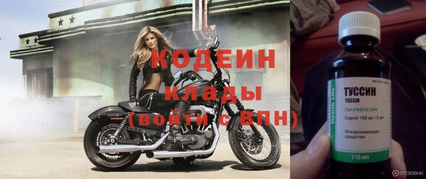 сатива Вяземский